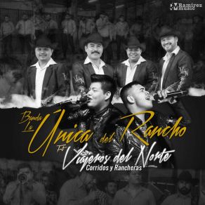 Download track Casitas De Cojoyo Banda La Única Del Rancho