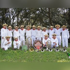 Download track Son Del Cornudo Banda Sorpresa