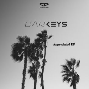 Download track Salts (Original Mix) Carkeys