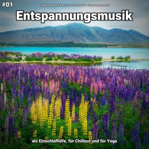 Download track Entspannungsmusik Pt. 80 Entspannungsmusik