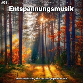 Download track Entspannungsmusik Pt. 90 Entspannungsmusik