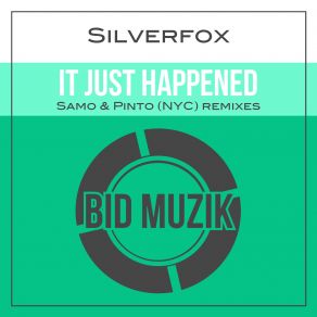 Download track It Just Happened (Samo Remix) Silverfox