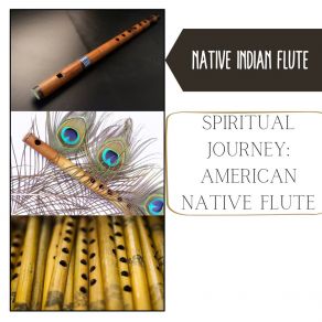 Download track Follow Your Heart Native Indian Flute