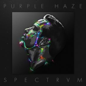 Download track Phaedra Purple Haze