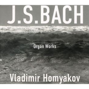 Download track Praeludium Et Fuga E-Moll BWV 548 (II) Johann Sebastian Bach