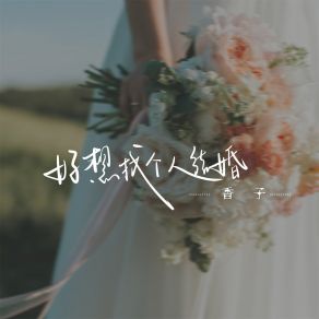 Download track 好想找个人结婚 (伴奏) 香子