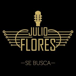 Download track Ahora Me Toca A Mi Julio Flores