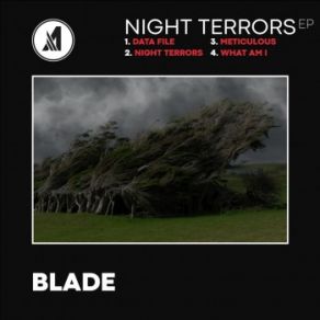 Download track Night Terrors The Blade