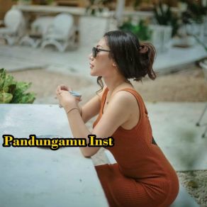 Download track Pandungamu Inst The Jainab