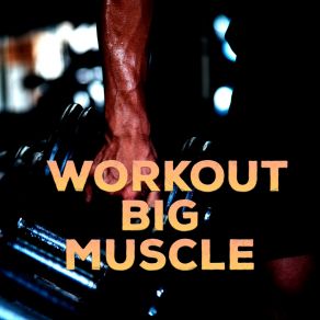 Download track Big Muscle GimnasioTabata Songs, House Mix 2021, Tu Rutina En El Gym