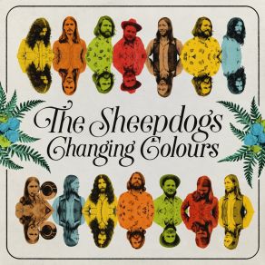 Download track I've Got A Hole Where My Heart Should Be The Sheepdogs