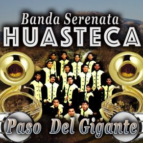 Download track Pena Tras Pena Banda Serenata Huasteca