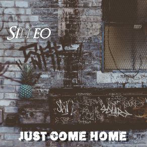 Download track Music Don't Stop Silleo