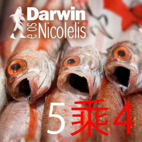 Download track 这个系统多少钱? Darwin E Os Nicolelis