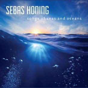 Download track The Big Wave Sebas Honing