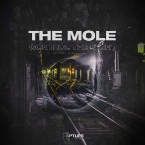 Download track Feel The Bass The Mole