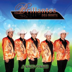 Download track Las Parcelas De Mendoza Brillantes Del Norte