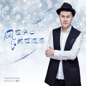 Download track 风在伤心我在流泪 (Dj版伴奏) Lin Bao