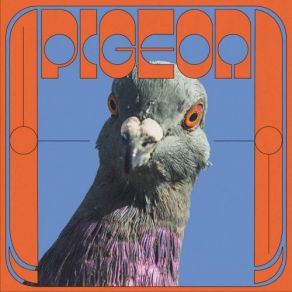 Download track Yagana Pigeon