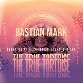 Download track The True Tortoise (Chris Drifter Remix) Bastian MarkChris Drifter