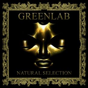 Download track Satellite GreenlabMartinez FX