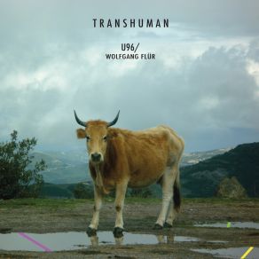 Download track Transhuman U96, Wolfgang Flür