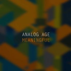 Download track Meaningful Analog Age