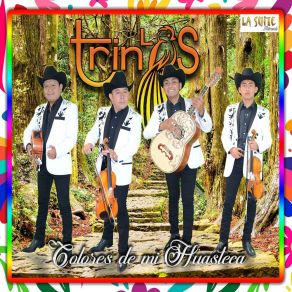 Download track La Huastequita Los Trinos