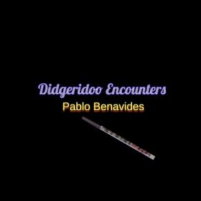 Download track Didgeridoo Dream Pablo BenavidesRick Vanmatre, Brian Hogg