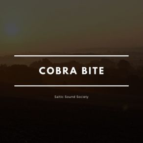 Download track Cobra Bite Saltic Sound Society