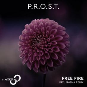 Download track Free Fire (Original Mix) P. R. O. S. T