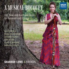 Download track Quartet In G Minor, Op. 73, No. 3: I. Allegro Con Espressione Shannon Lowe