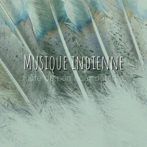 Download track Musique Indienne - Flûte De Pan # 18 Club De Détendre Amérindien