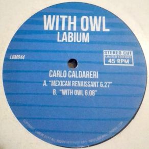 Download track The Owl (Original Mix) Carlo Caldareri