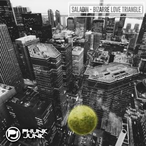 Download track Bizarre Love Triangle (Radio Edit) Saladin