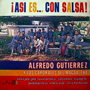 Download track Salsa Mona Alfredo Gutierrez