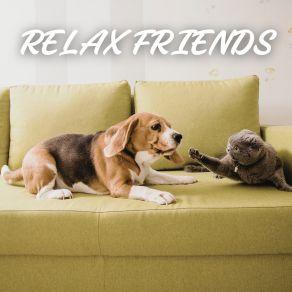 Download track Contribute Cat Relaxing Master