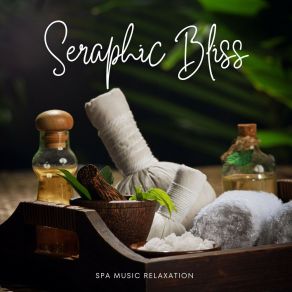 Download track Massage Music Spa Music Relaxation