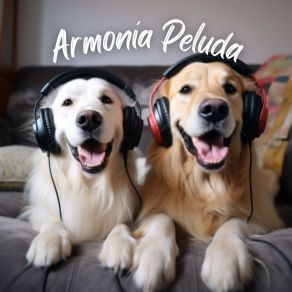 Download track Oídos Atentos Música Para Mascotas