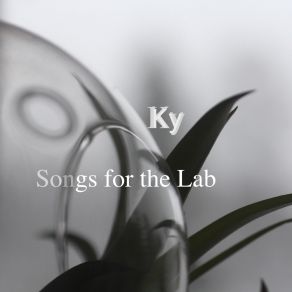 Download track The Lab Assistant's Drive Home KY