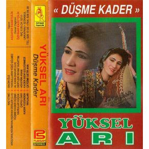 Download track Yoksulların Yüzü Gülmez Yüksel Ari