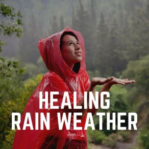 Download track Rain Productive Rainfall Meditations