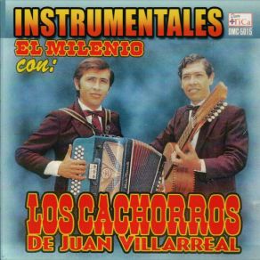 Download track Me Traes Loco Los Cachorros De Juan Villarreal