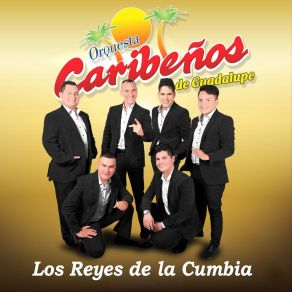 Download track Collar De Lágrimas Orquesta Caribeños De Guadalupe