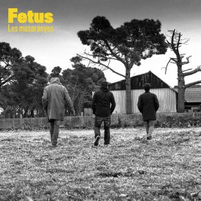 Download track Edulcorants Fetus