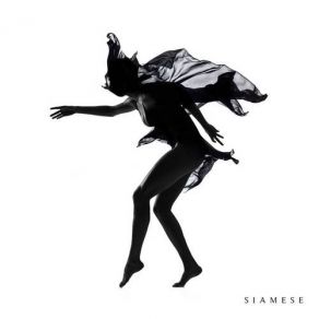 Download track Ordinary Siamese