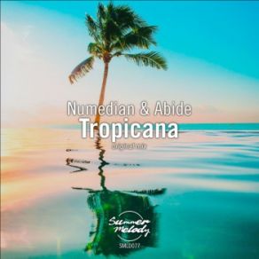 Download track Tropicana (Original Mix) Abide, Numedian