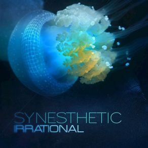 Download track Ethnos Synesthetic