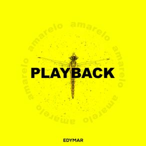 Download track Vai Amanhecer (Playback) EdymarPlayback