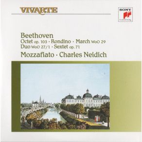 Download track Sextet For 2 Clarinets, 2 Bassoons & 2 Horns In Eb Op. 71 - Rondo Allegro Ludwig Van Beethoven